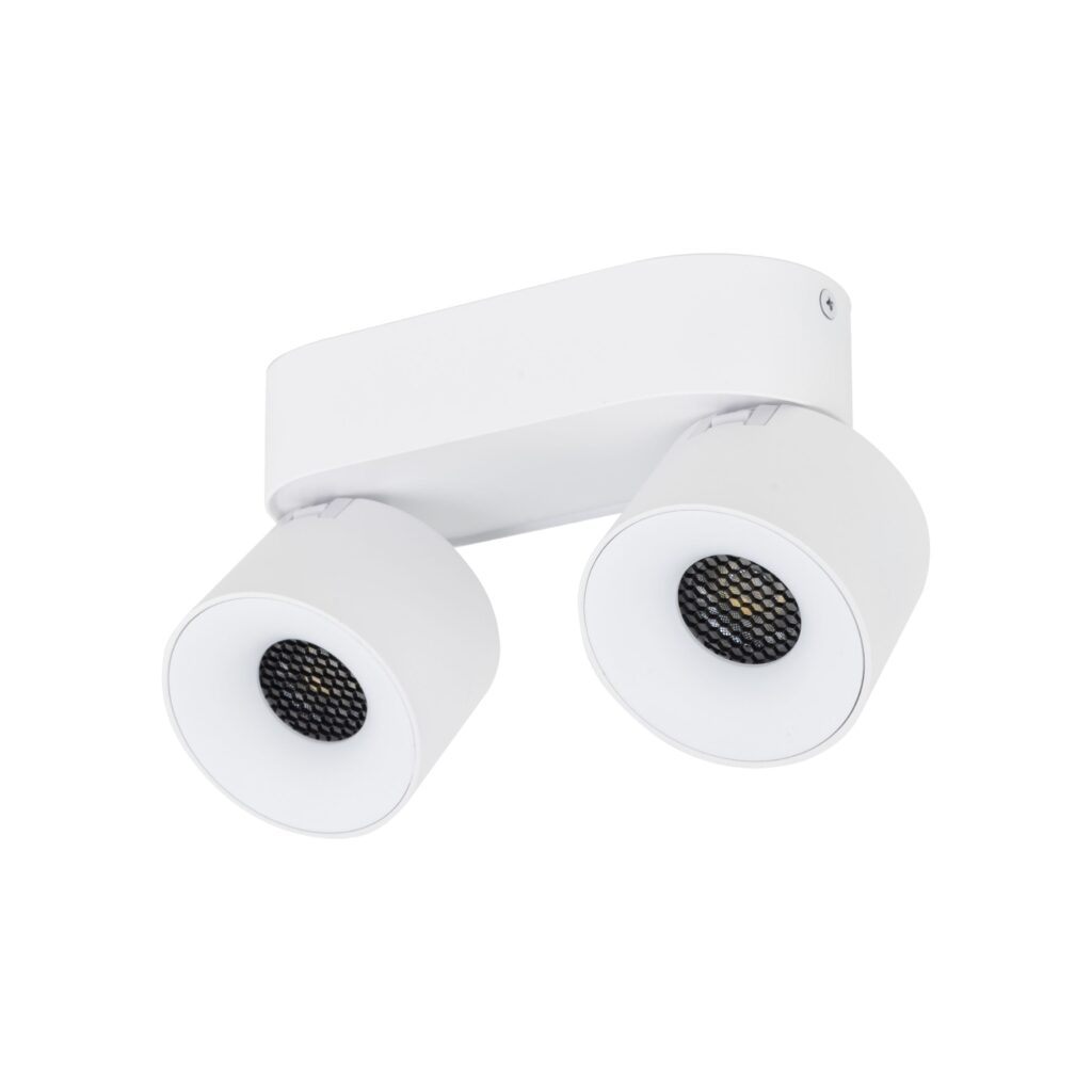 SPARK DUO WHITE CCT 20W