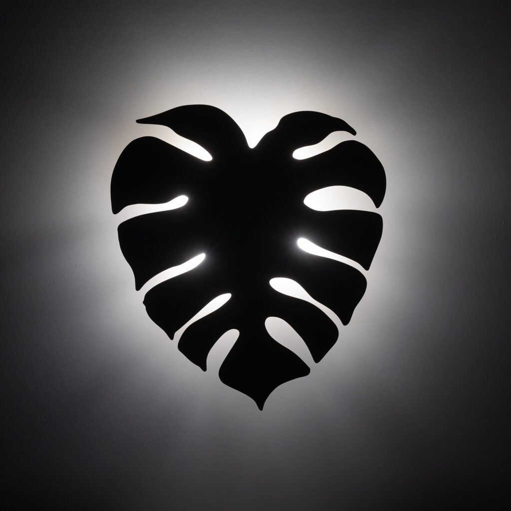 MONSTERA BROWN KINKIET 3XG9