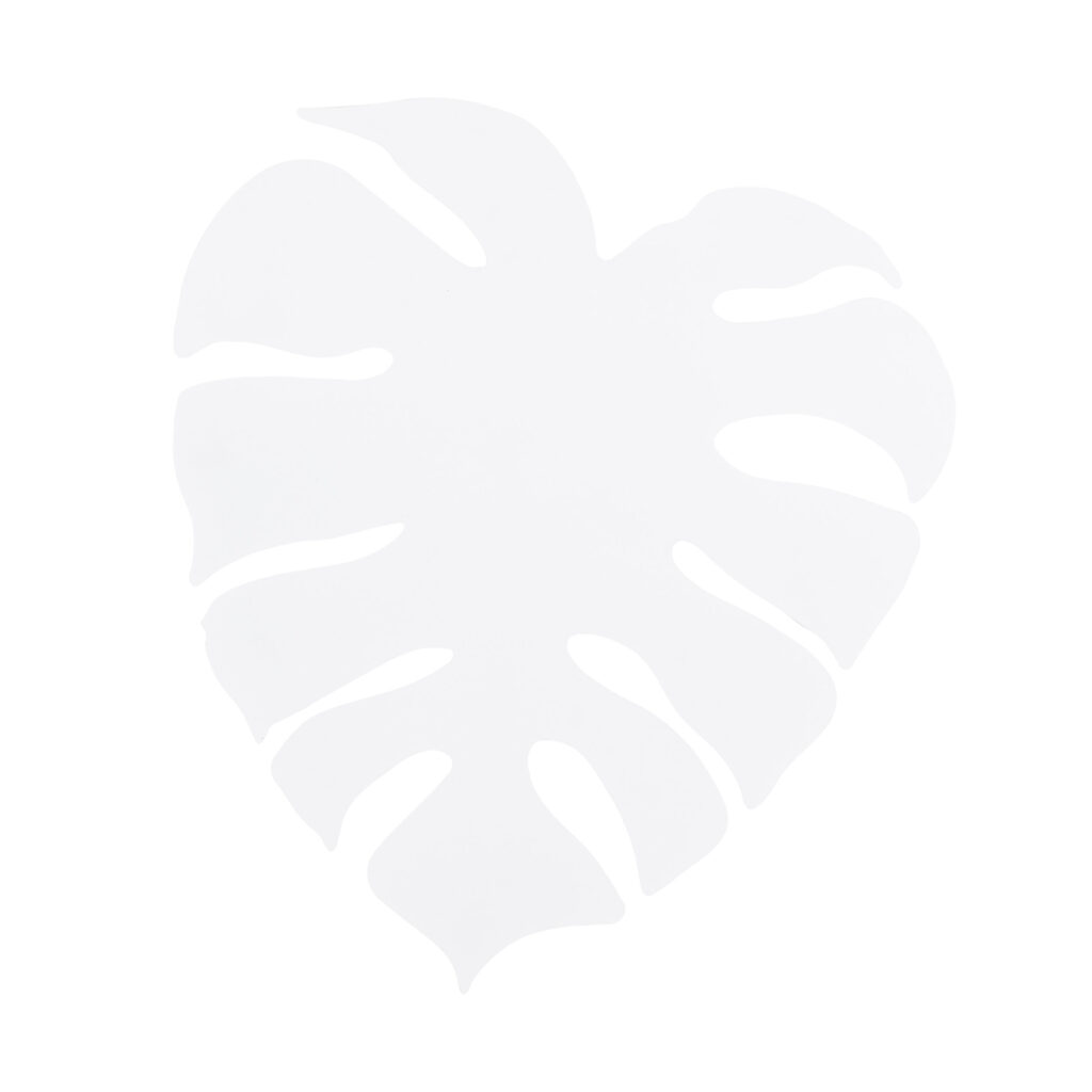 MONSTERA XL WHITE KINKIET 4XG9