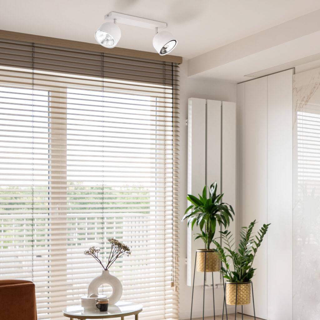 ALTEA WHITE LAMPA SUFITOWA 2 + ŻARÓWKI