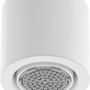 Główka prysznicowa 1-funkcyjna